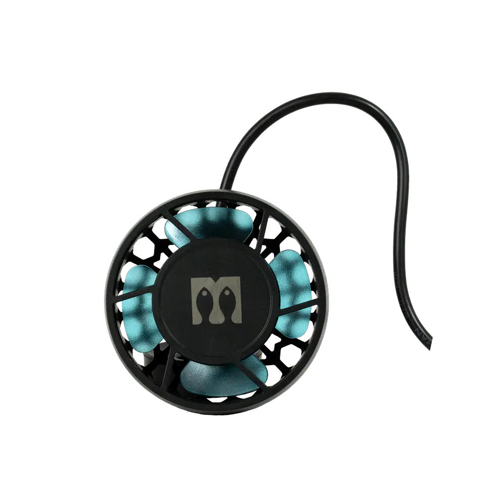 Mantis Hydrus 1