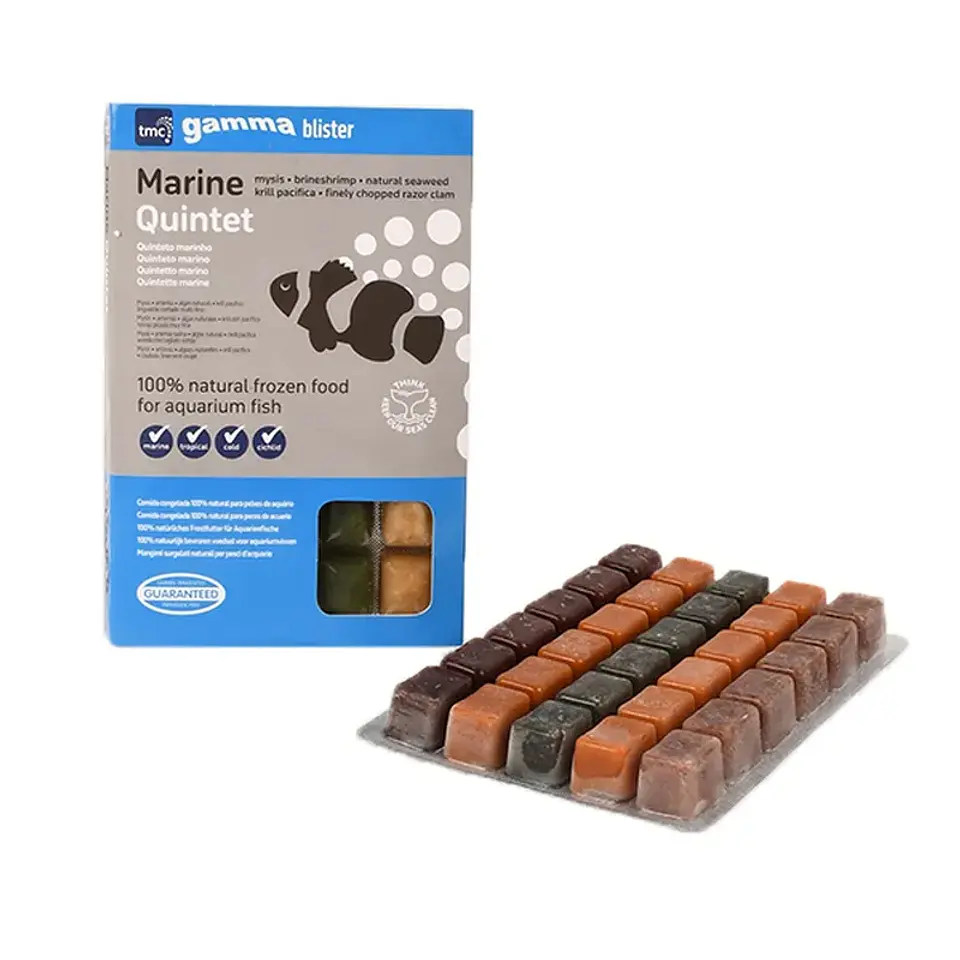 Marine Quintet 1