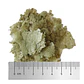 Veggie Flakes - Thumbnail 2