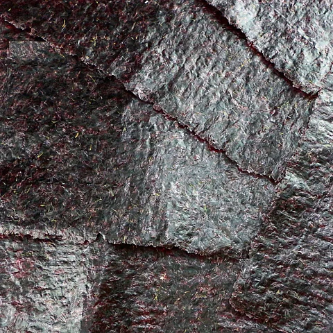 Red Marine Algae