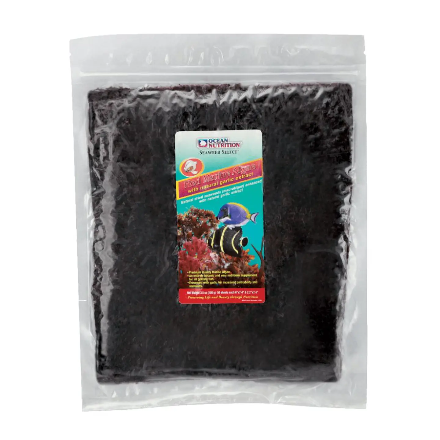 Red Marine Algae 3