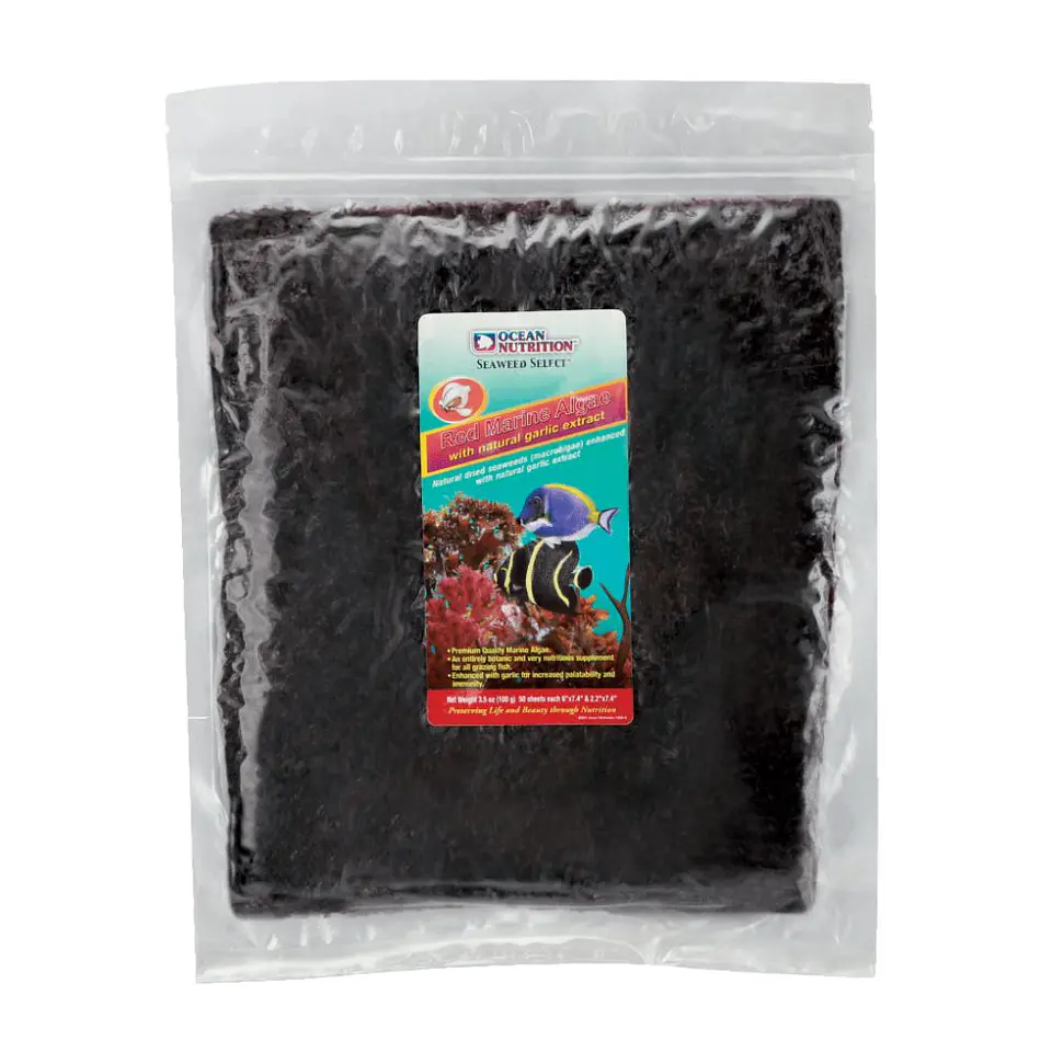 Red Marine Algae 3