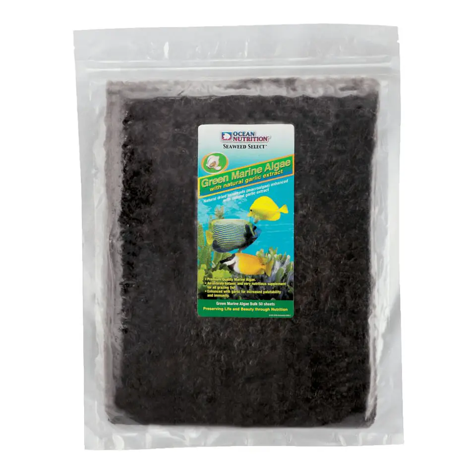 Green Marine Algae 3