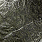 Green Marine Algae - Thumbnail 2