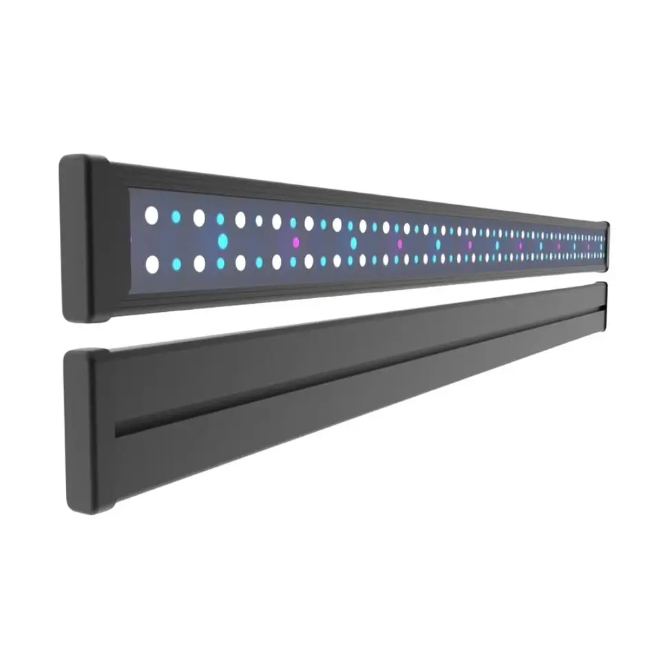 Keloray bar 1