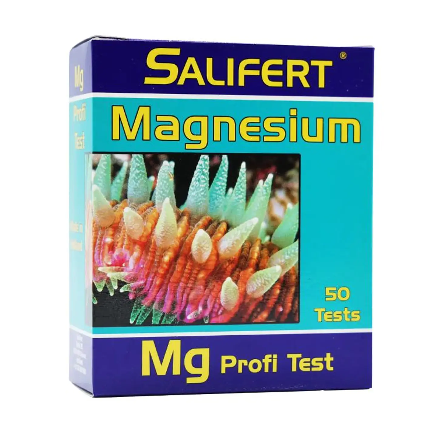 Test Magnesium 1