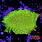Pavona cactus ultra green - Thumbnail 1