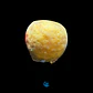 Cinachyrella spp. - Thumbnail 2