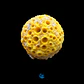 Cinachyrella spp. - Thumbnail 1