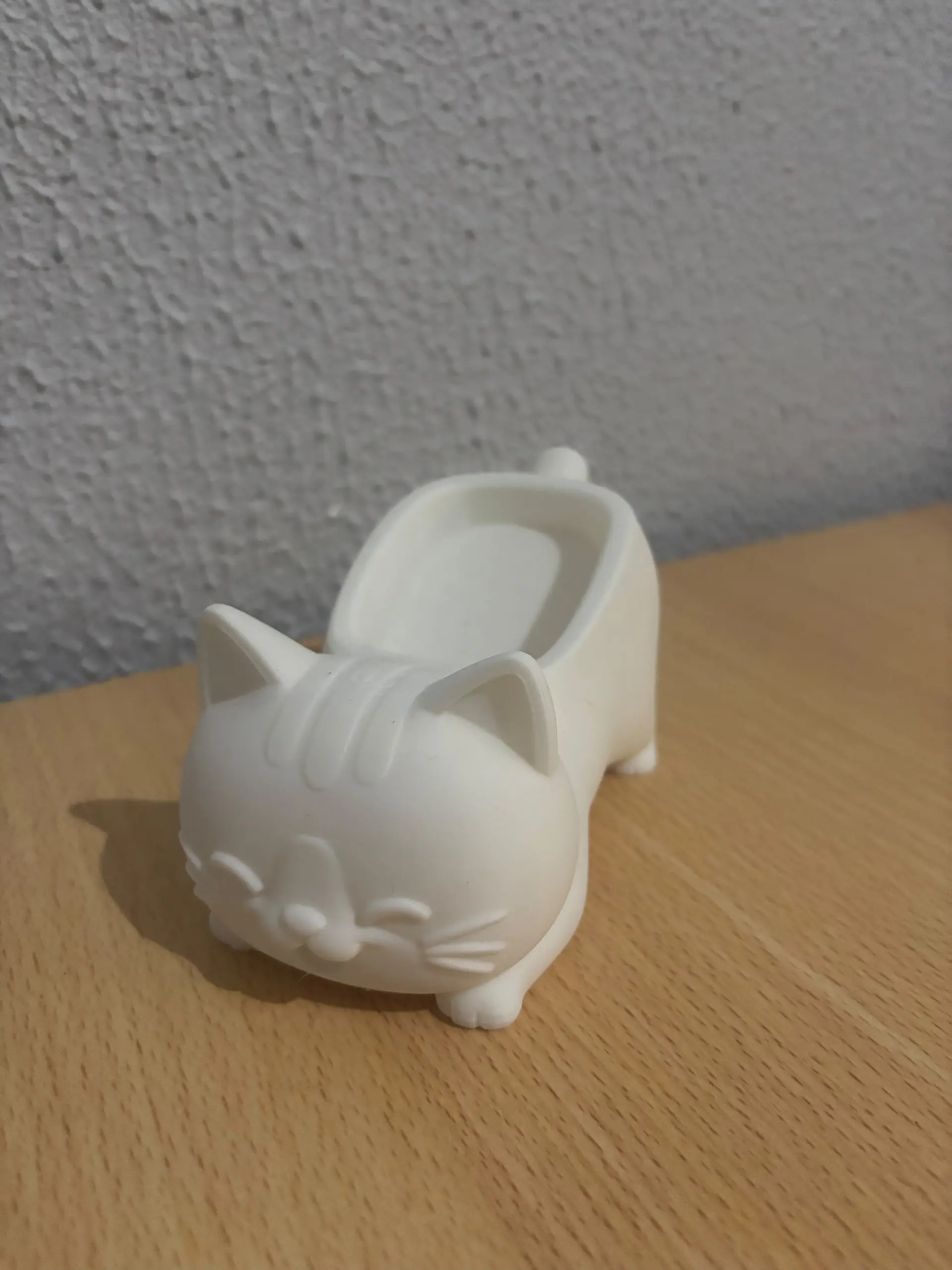 Saboneteira de Gato 1