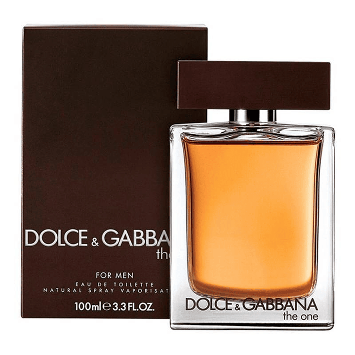 DOLCE GABBANA THE ONE MEN EDT 100ML 1