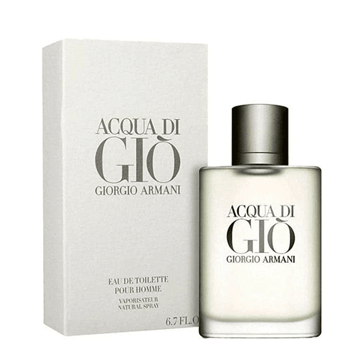 GIORGIO ARMANI ACQUA DI GIO POUR HOMME EDT 300ML 2