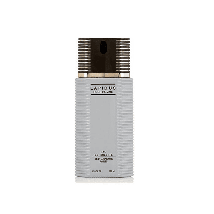 TED LAPIDUS POUR HOMME EDT 100ML 1