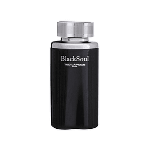 TED LAPIDUS BLACK SOUL MEN EDT 100ML