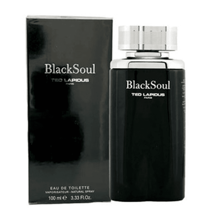 TED LAPIDUS BLACK SOUL MEN EDT 100ML 2
