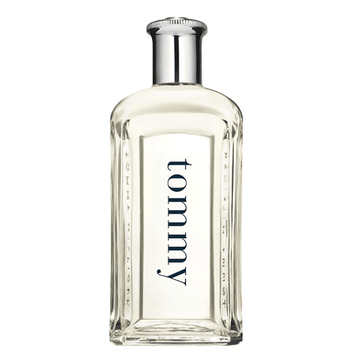 TOMMY HILFIGER MEN EDT 100 ML 1