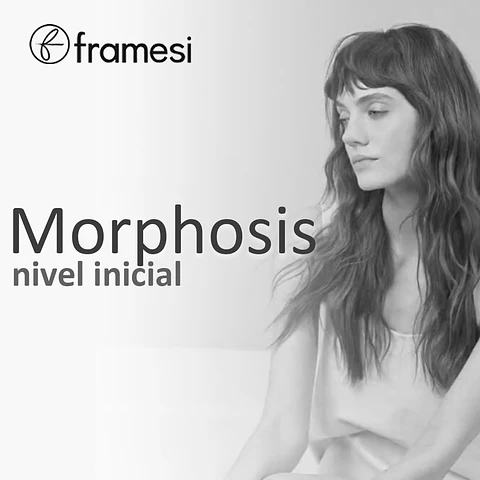 WORKSHOP MORPHOSIS NIVEL INICIAL