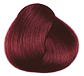 FRAMCOLOR GLAMOUR - Miniatura 69