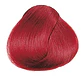 FRAMCOLOR GLAMOUR - Miniatura 88