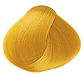 FRAMCOLOR GLAMOUR - Miniatura 90