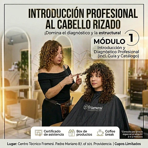 WORKSHOP INTRODUCCIÓN PROFESIONAL AL MUNDO DEL CABELLO RIZADO - Módulo 1 