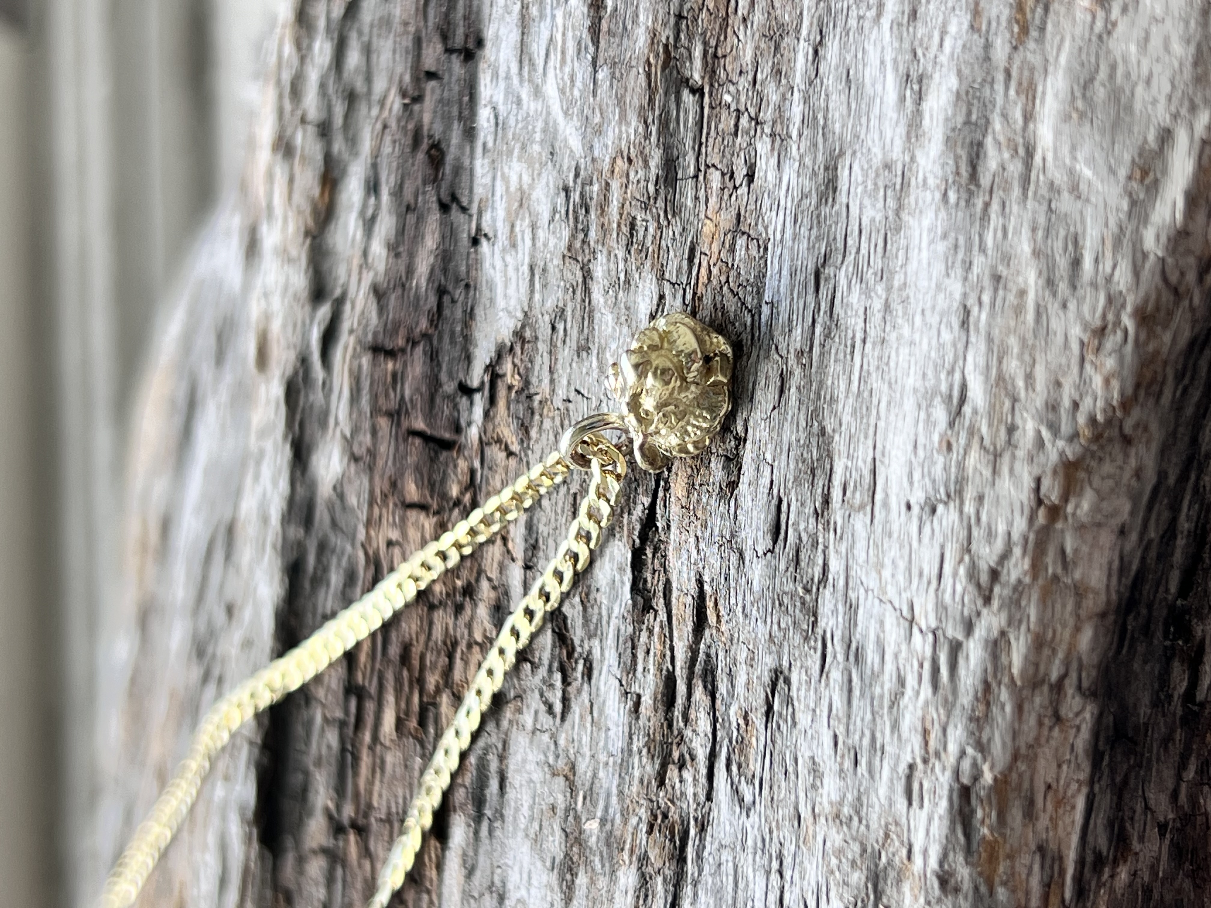 Collar tigre dorado