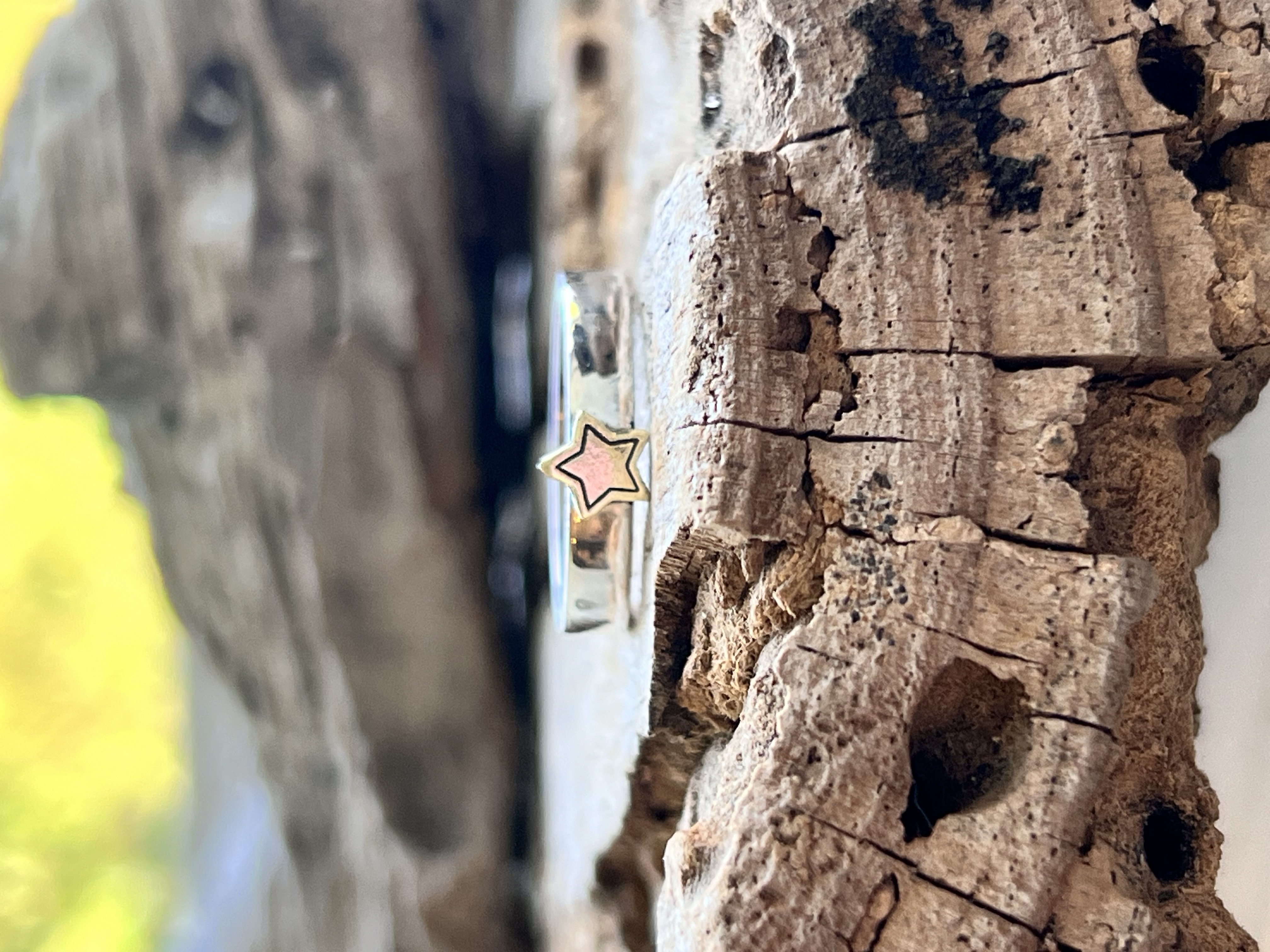 Anillo estrellita