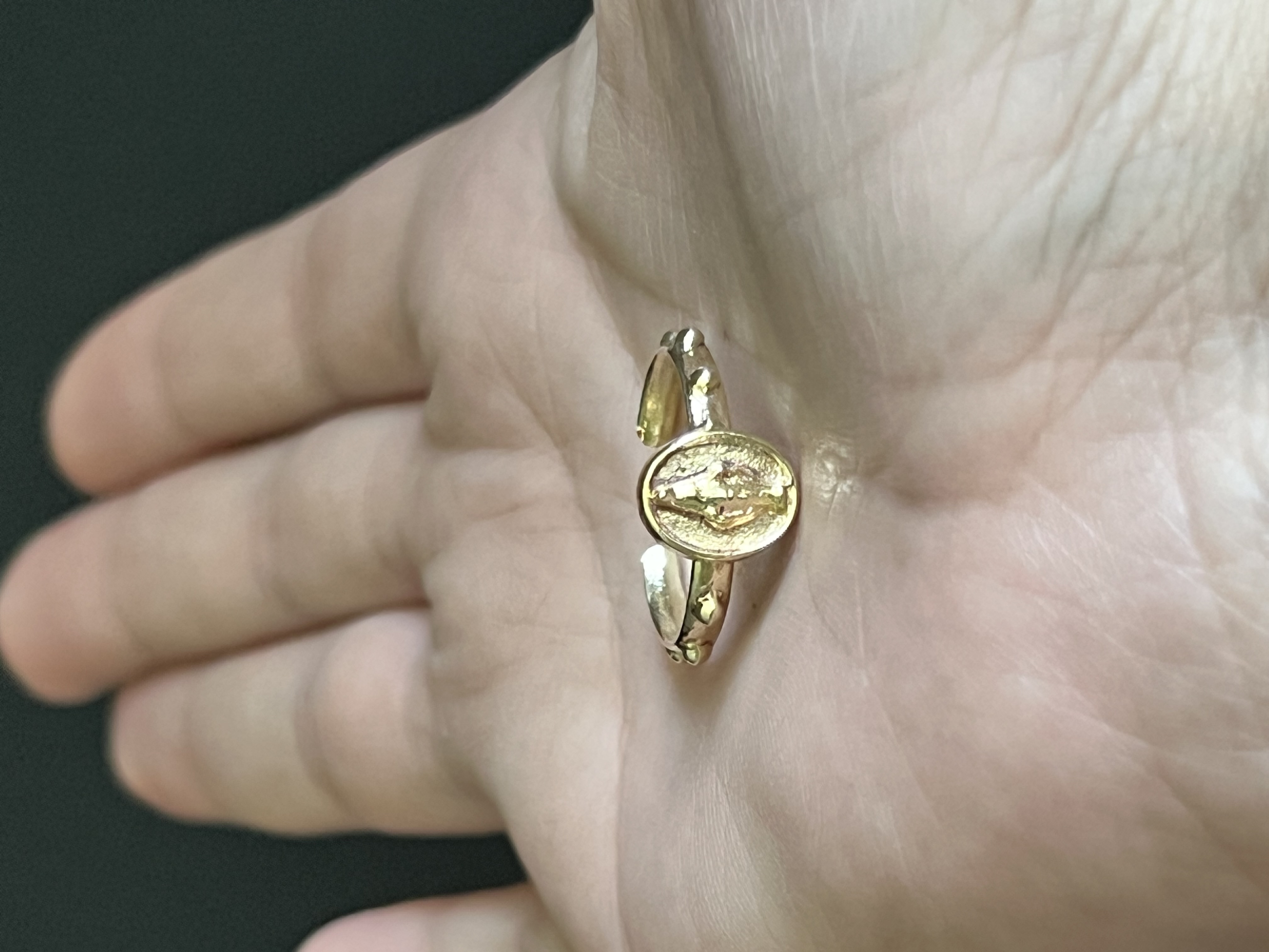 Anillo drenario virgen dorado