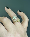 Anillo drenario virgen dorado