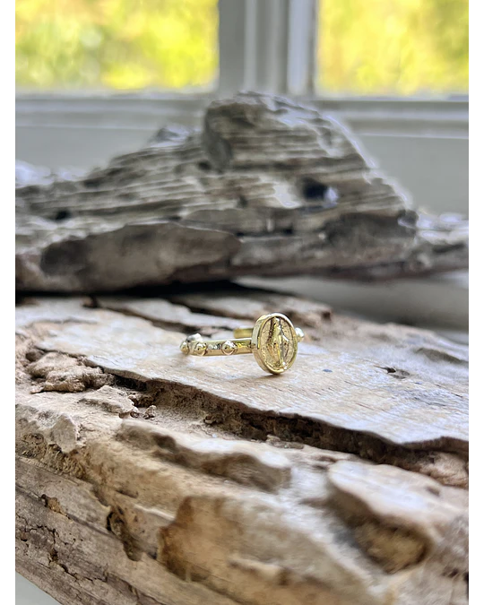 Anillo drenario virgen dorado