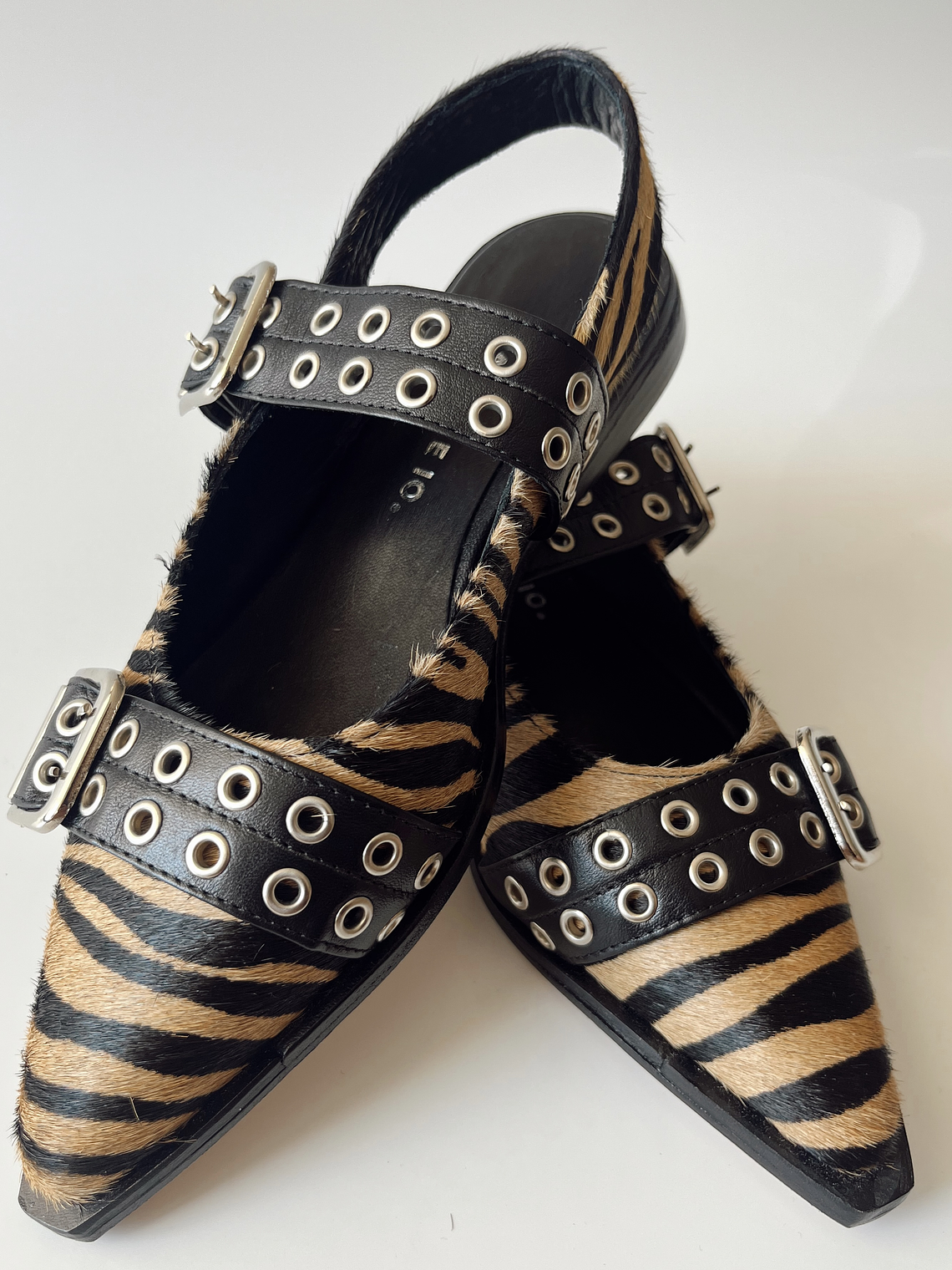 NEW VIVIENNE CEBRA 5