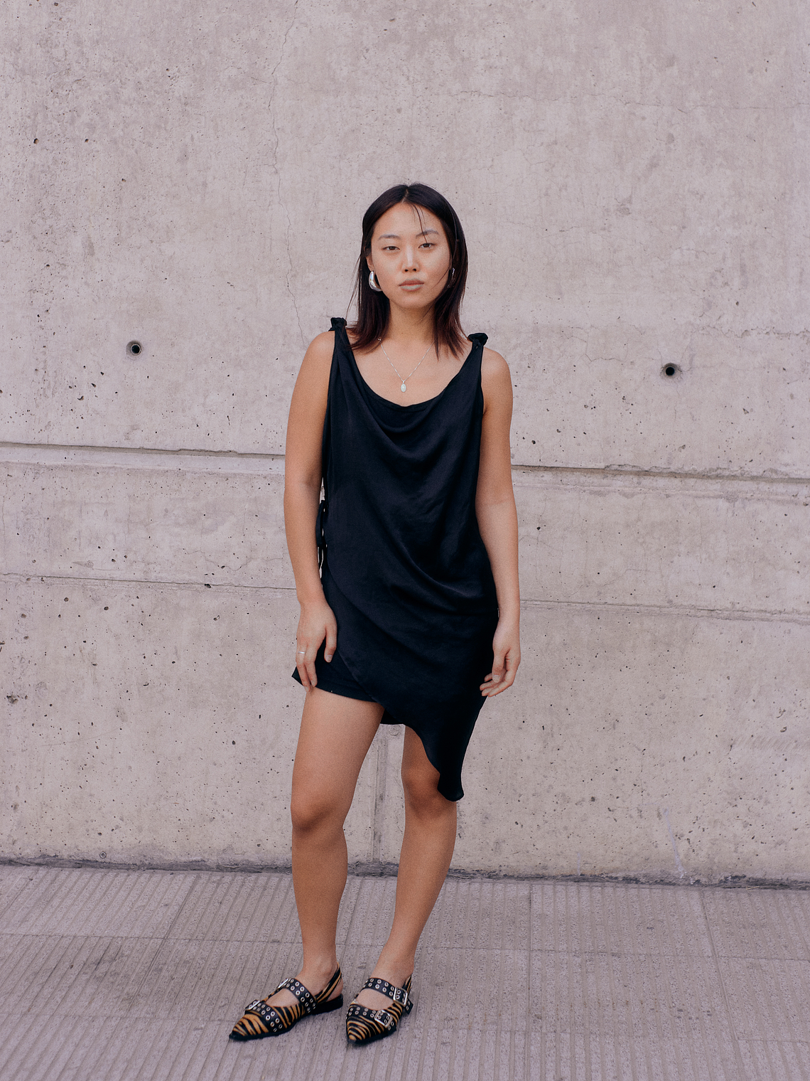 NEW VIVIENNE CEBRA 4