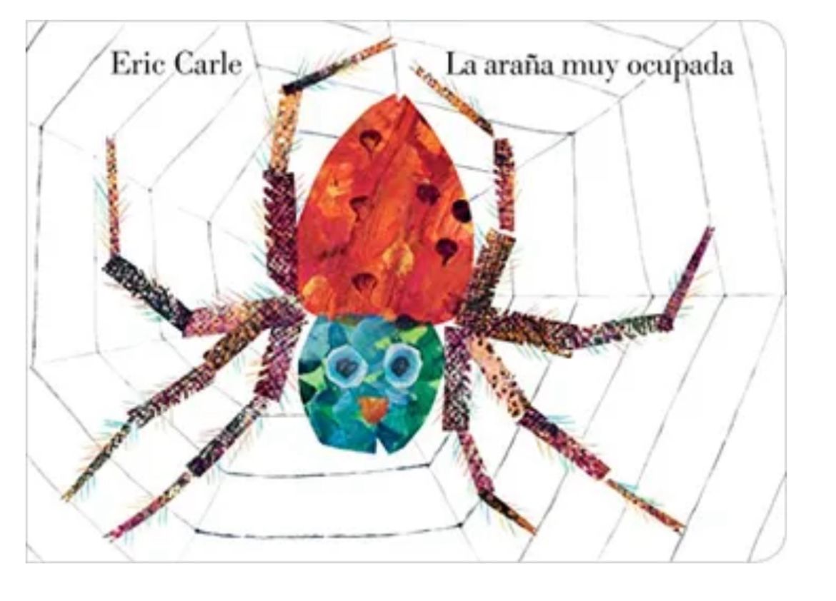 La araña muy ocupada