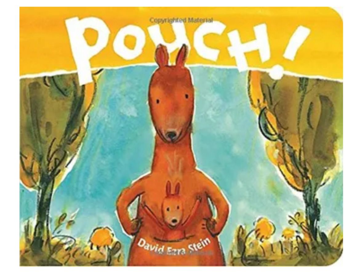 Pouch!