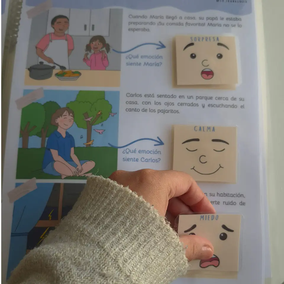 Libro manipulable mis emociones (físico) 2