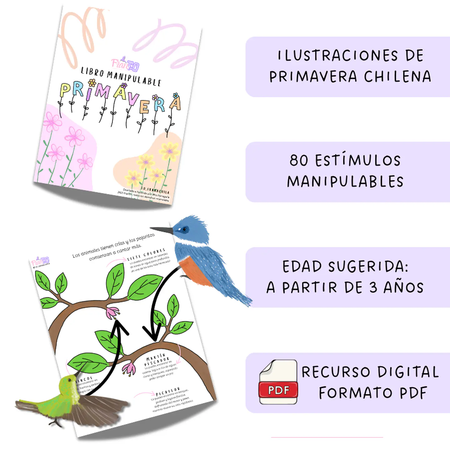 Libro manipulable Primavera 1