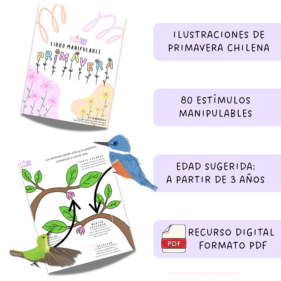 Libro manipulable Primavera 1