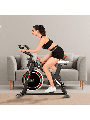 Bicicleta Home Fitness Monitor Volante Inercia 6kg