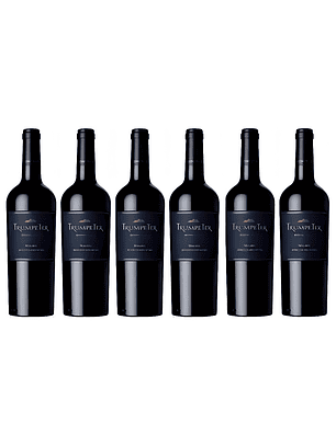 Vino Trumpeter Malbec 750 ml x6 Unidades