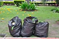 Bolsas Negras-140X140-UNI - Miniatura 2