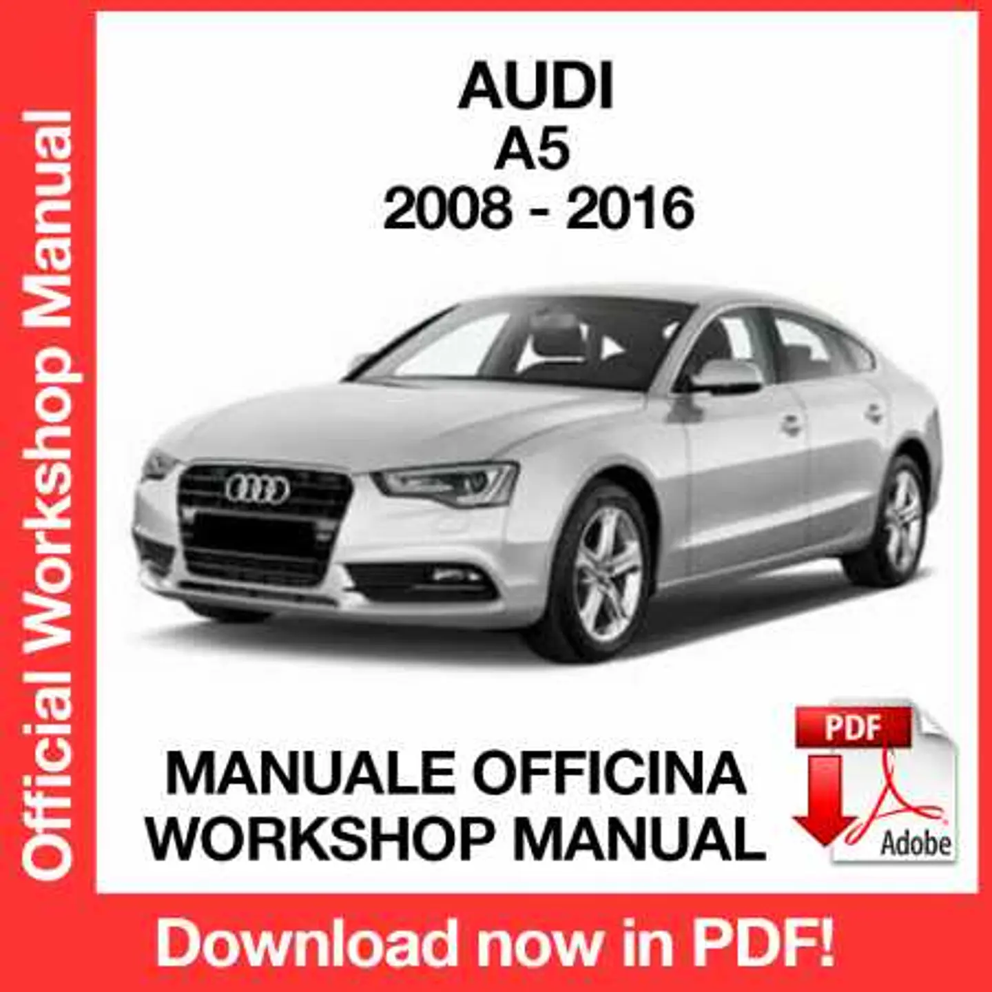 AUDI A5 COUPE' (2008, 2009, 2010, 2011, 2012) (EN) Workshop Repair Manual FREE PDF Download 1
