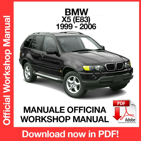 BMW X5 E53 (2002, 2003, 2004, 2005, 2006) (EN) Workshop Repair Manual FREE PDF Download