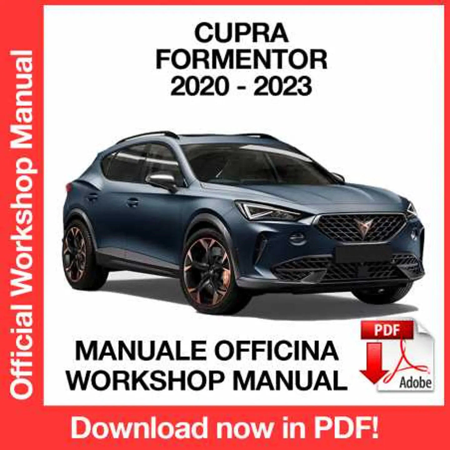 Cupra Formentor (2020, 2021, 2022, 2023) (EN) Workshop Repair Manual FREE PDF Download 1
