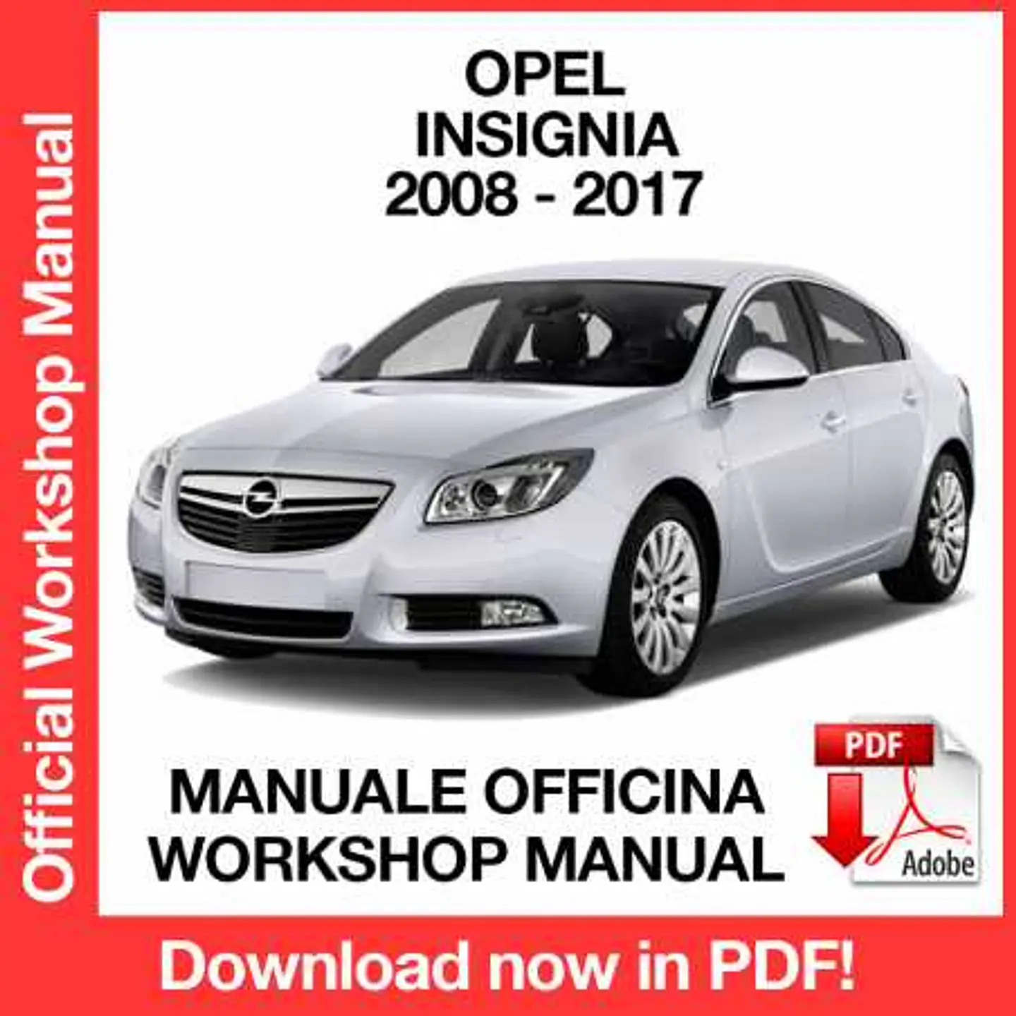 Opel Insignia (2008, 2009, 2010, 2011, 2012, 2013, 2014, 2015, 2016, 2017) (EN) Workshop Repair Manual FREE PDF Download 1