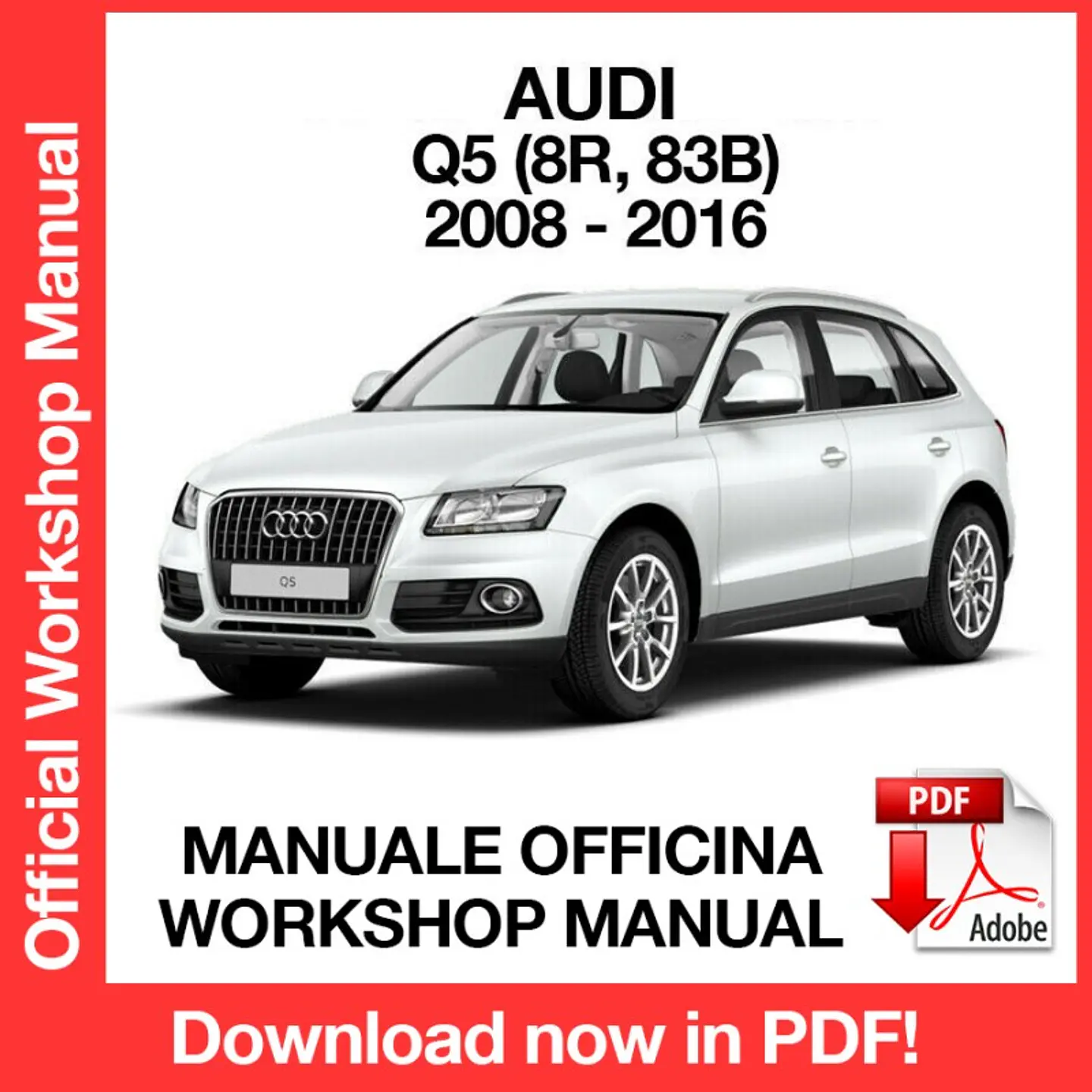 AUDI Q5 (2008, 2009, 2010, 2011, 2012, 2013, 2014, 2015, 2016) (EN) Workshop Repair Manual FREE PDF Download 1