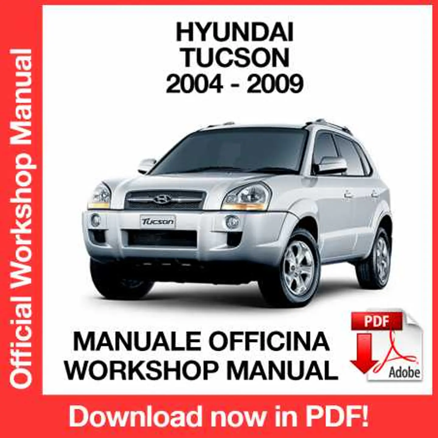 Hyundai Tucson (2004, 2005, 2006, 2007, 2008, 2009) (EN) Workshop Repair Manual FREE PDF Download 1