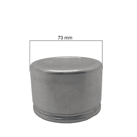 Piston de mordaza brake pak para Ford F100