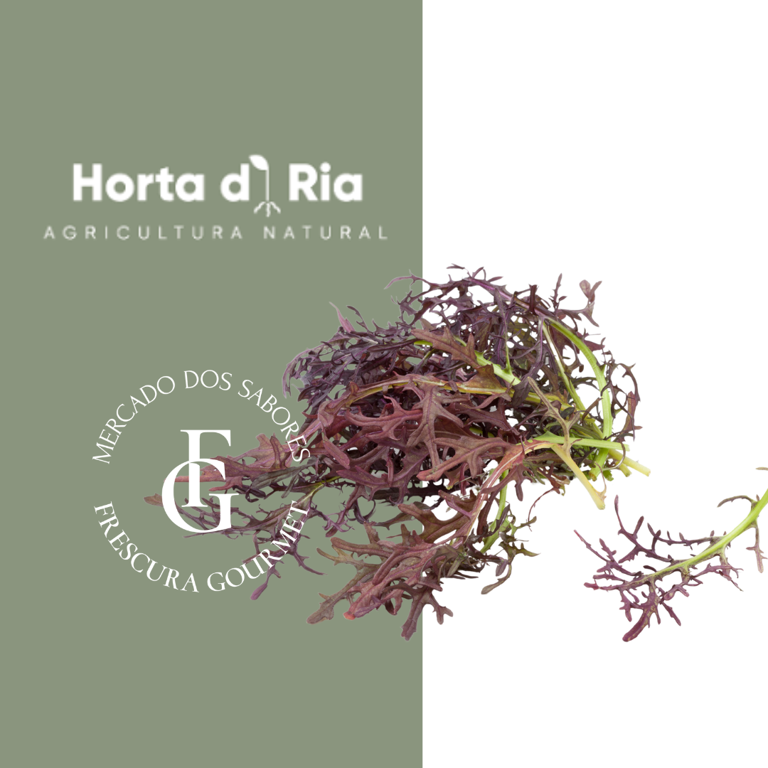 Mizuna vermelha premium - horta.do.rio  