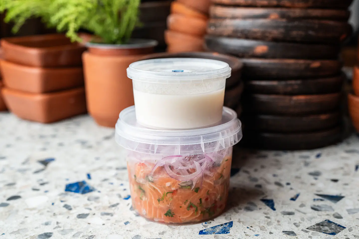 Ceviche de salmón 300gr con leche de tigre 2
