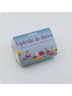 Bolas de Sementes - Explosão de Flores